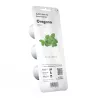 Click & Grow oregano-kasvikapselit, 3 kapselia (SGR31X3)