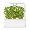 Click & Grow oregano-kasvikapselit, 3 kapselia (SGR31X3)