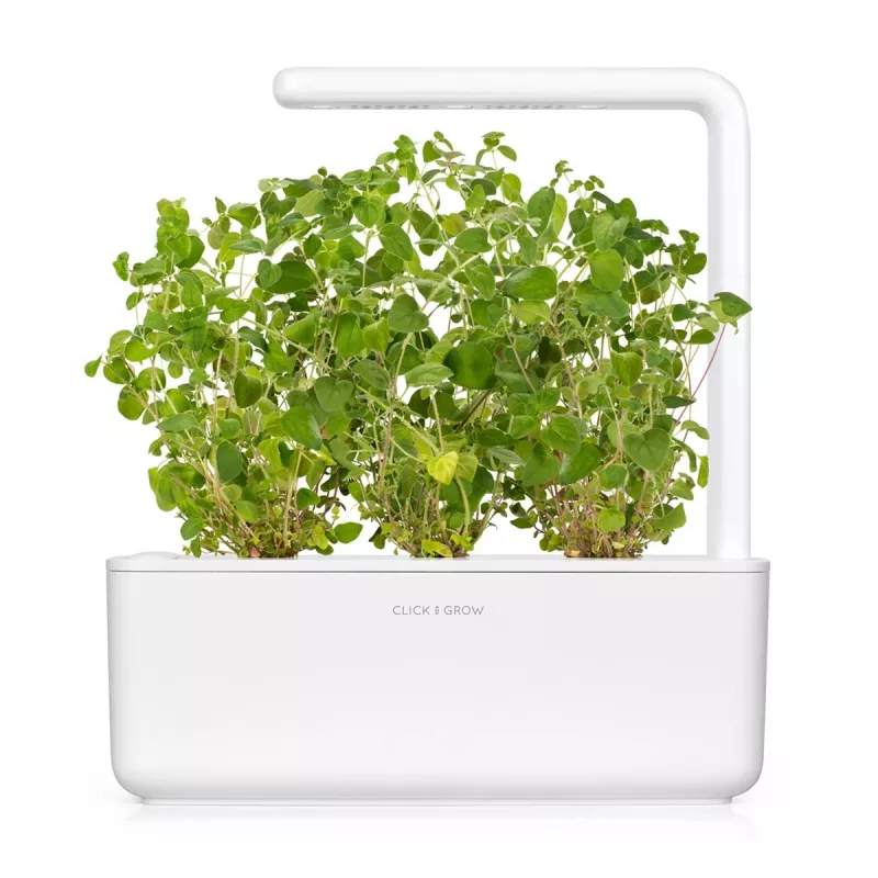 Click & Grow oregano-kasvikapselit, 3 kapselia (SGR31X3)