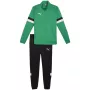 PUMA miesten Team Rise Full-Zip -treeniasu Forest Night/Puma Black koko L