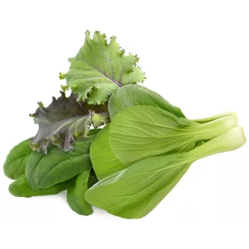 Click & Grow PPMAGX9 Smart Garden kasvikapselit 9 kpl:n pakkaus (sekoitettuja lajikkeita, biohajoavia, hupuilla)