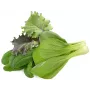 Click & Grow PPMAGX9 Smart Garden kasvikapselit 9 kpl:n pakkaus (sekoitettuja lajikkeita, biohajoavia, hupuilla)