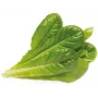Click & Grow SGR50X3 salaatti kasvikapselit täydennyspakkaus (3 kpl:n pakkaus)