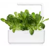 Click & Grow SGR50X3 salaatti kasvikapselit täydennyspakkaus (3 kpl:n pakkaus)