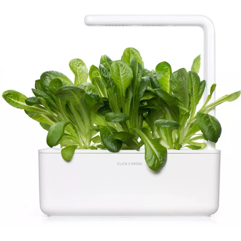 Click & Grow SGR50X3 salaatti kasvikapselit täydennyspakkaus (3 kpl:n pakkaus)