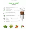 Click & Grow SGR50X3 salaatti kasvikapselit täydennyspakkaus (3 kpl:n pakkaus)