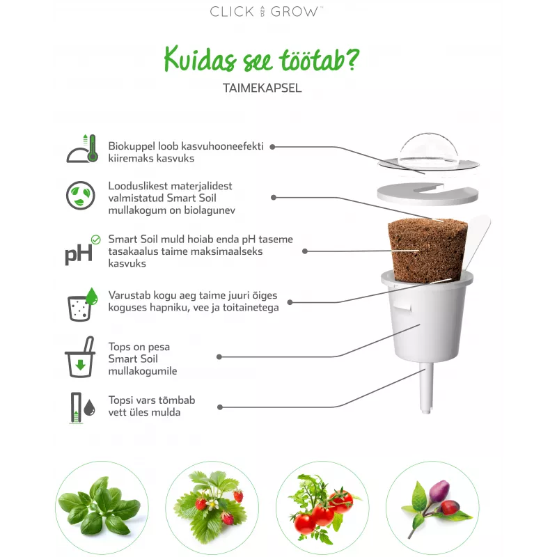 Click & Grow SGR50X3 salaatti kasvikapselit täydennyspakkaus (3 kpl:n pakkaus)