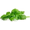 Click & Grow lehtiselleri-kasvatuskapselit Smart Gardeniin, 3 kpl:n pakkaus (SGR97X3)