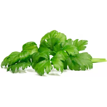 Click & Grow lehtiselleri-kasvatuskapselit Smart Gardeniin, 3 kpl:n pakkaus (SGR97X3)