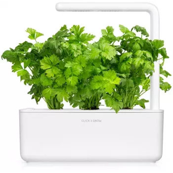 Click & Grow lehtiselleri-kasvatuskapselit Smart Gardeniin, 3 kpl:n pakkaus (SGR97X3)