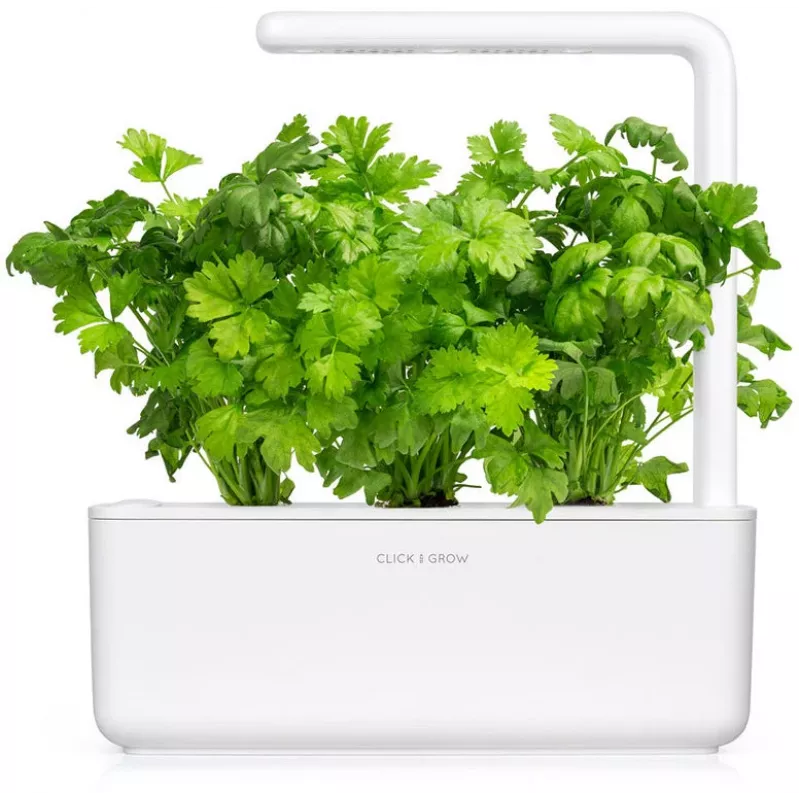 Click & Grow lehtiselleri-kasvatuskapselit Smart Gardeniin, 3 kpl:n pakkaus (SGR97X3)