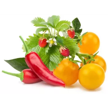 Click & Grow hedelmä- ja vihannesmix kasvukapselit Smart Gardeniin, 9 kpl:n pakkaus (PPMFVX9)