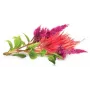 Click & Grow harjaneilikka kasvukapselit Smart Gardeniin, 3 kpl:n pakkaus (SGR4X3)