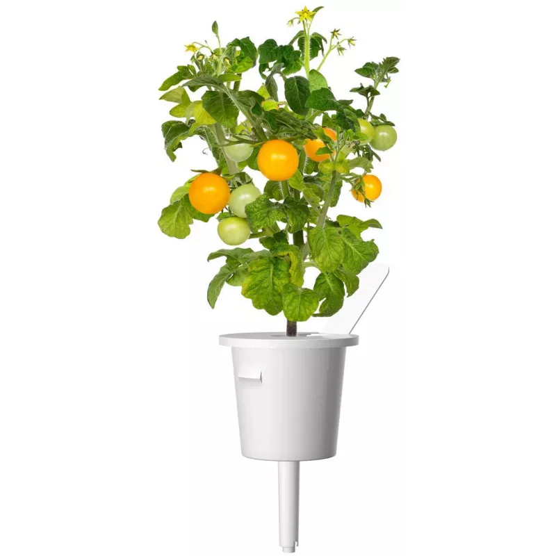 Click and Grow Smart Garden täydennyspaketti 3 kpl minitomaattikasvikapselit