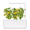 Click and Grow Smart Garden täydennyspaketti 3 kpl minitomaattikasvikapselit