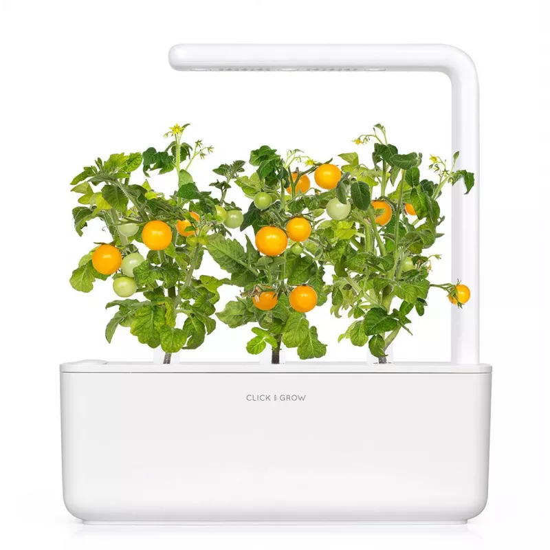 Click and Grow Smart Garden täydennyspaketti 3 kpl minitomaattikasvikapselit