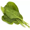 Click & Grow Smart Garden täyttöpakkaus: vihreä mangoldi, 3 kasvikapselia (SGR64X3)