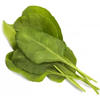 Click & Grow Smart Garden täyttöpakkaus vihreä mangoldi, 3 kasvikapselia (SGR64X3)