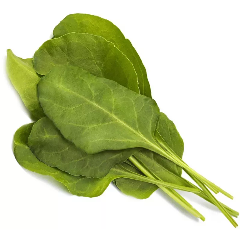 Click & Grow Smart Garden täyttöpakkaus: vihreä mangoldi, 3 kasvikapselia (SGR64X3)