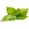 Click & Grow sitruunabasilika-kasvukapselit Smart Garden -puutarhaan, 3 kpl:n pakkaus (SGR76X3)