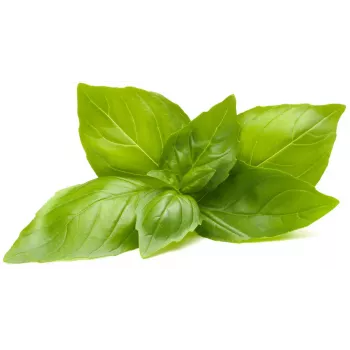 Click & Grow sitruunabasilika-kasvukapselit Smart Garden -puutarhaan, 3 kpl:n pakkaus (SGR76X3)