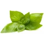 Click & Grow sitruunabasilika-kasvukapselit Smart Garden -puutarhaan, 3 kpl:n pakkaus (SGR76X3)