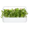 Click & Grow sitruunabasilika-kasvukapselit Smart Garden -puutarhaan, 3 kpl:n pakkaus (SGR76X3)