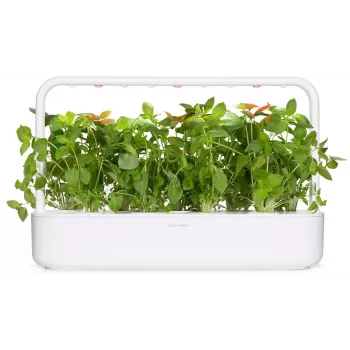Click & Grow sitruunabasilika-kasvukapselit Smart Garden -puutarhaan, 3 kpl:n pakkaus (SGR76X3)