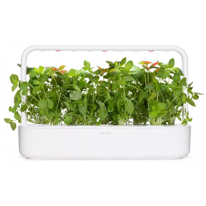 Click & Grow sitruunabasilika-kasvukapselit Smart Garden -puutarhaan, 3 kpl:n pakkaus (SGR76X3)