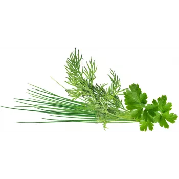 Click & Grow Plant Pod Classic Garnish Mix, 9 kpl (PPMCGX9)