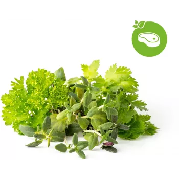 Click & Grow Steak-kräuter-Mix kasvukapselit Smart Garden -puutarhaan, 9 kpl:n pakkaus (PPMSSX9)