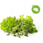 Click & Grow Steak-kräuter-Mix kasvukapselit Smart Garden -puutarhaan, 9 kpl:n pakkaus (PPMSSX9)
