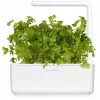 Click & Grow SGR68x3 persilja-kasvikapselit (3 kpl:n pakkaus)