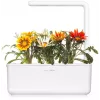 Click & Grow gazania-kasvikapselit Smart Garden -puutarhaan, 3 kpl:n pakkaus (SGR92X3)