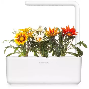 Click & Grow gazania-kasvikapselit Smart Garden -puutarhaan, 3 kpl:n pakkaus (SGR92X3)