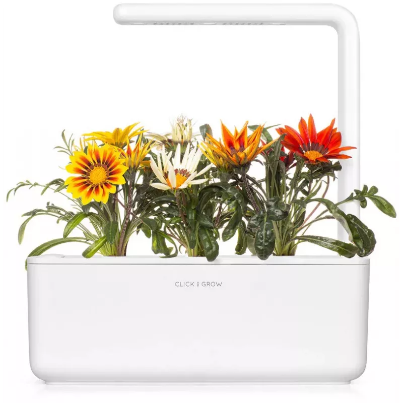 Click & Grow gazania-kasvikapselit Smart Garden -puutarhaan, 3 kpl:n pakkaus (SGR92X3)