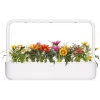 Click & Grow gazania-kasvikapselit Smart Garden -puutarhaan, 3 kpl:n pakkaus (SGR92X3)