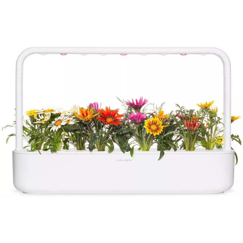 Click & Grow gazania-kasvikapselit Smart Garden -puutarhaan, 3 kpl:n pakkaus (SGR92X3)