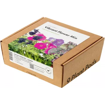 Click & Grow Vibrant Flower Mix -kasvikapselit Smart Garden -puutarhaan, 9 kpl:n pakkaus (PPMVBX9)