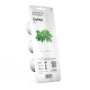 Click & Grow Smart Garden täyttöpakkaus: kissanminttu, 3 kasvikapselia (SGR29X3)