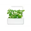 Click & Grow Smart Garden täyttöpakkaus: kissanminttu, 3 kasvikapselia (SGR29X3)