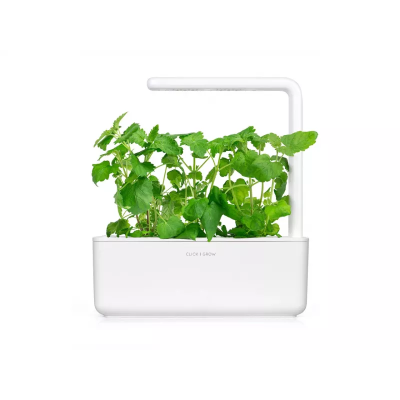 Click & Grow Smart Garden täyttöpakkaus: kissanminttu, 3 kasvikapselia (SGR29X3)