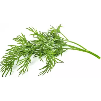 Click & Grow SGR49x3 tilli-kasvikapselit täyttöpakkaus, 3 kpl:n pakkaus