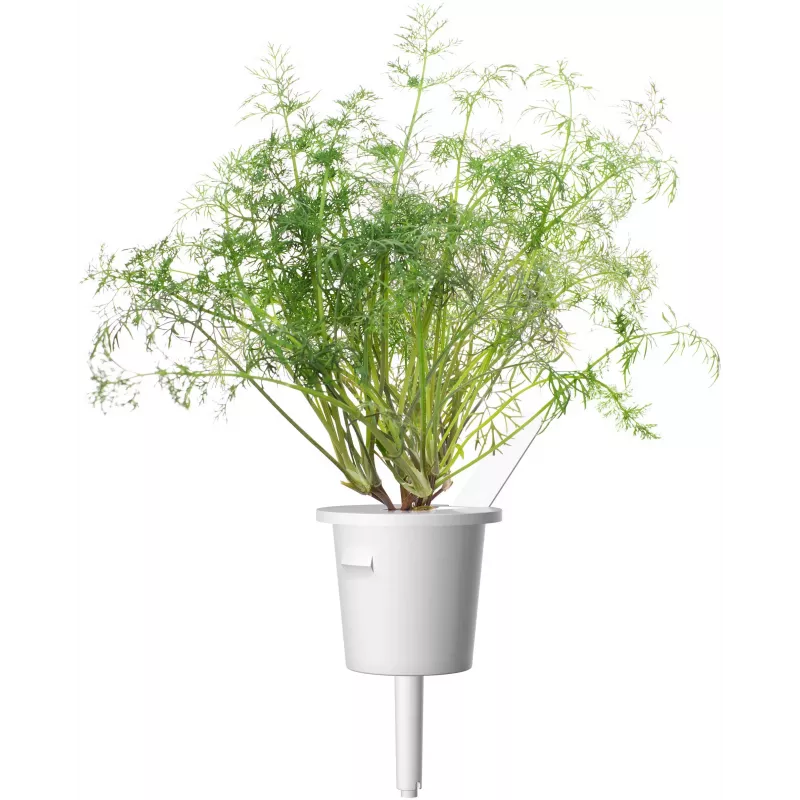 Click & Grow SGR49x3 tilli-kasvikapselit täyttöpakkaus, 3 kpl:n pakkaus