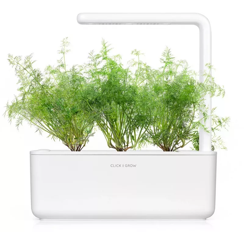 Click & Grow SGR49x3 tilli-kasvikapselit täyttöpakkaus, 3 kpl:n pakkaus