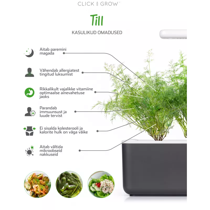 Click & Grow SGR49x3 tilli-kasvikapselit täyttöpakkaus, 3 kpl:n pakkaus