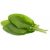 Click & Grow suolaheinä-kasvikapselit Smart Garden -puutarhaan, 3 kpl:n pakkaus (SGR55X3)