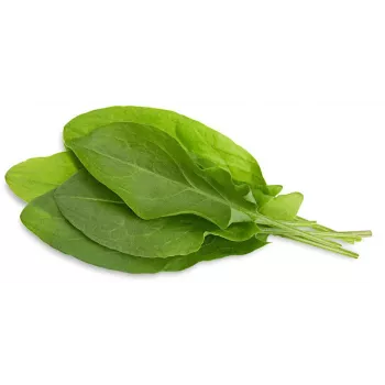 Click & Grow suolaheinä-kasvikapselit Smart Garden -puutarhaan, 3 kpl:n pakkaus (SGR55X3)