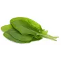 Click & Grow suolaheinä-kasvikapselit Smart Garden -puutarhaan, 3 kpl:n pakkaus (SGR55X3)