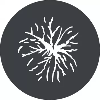Godox GP GS2 gobo-sarja GP-projektio-kiinnikkeeseen (6 kuviota)
